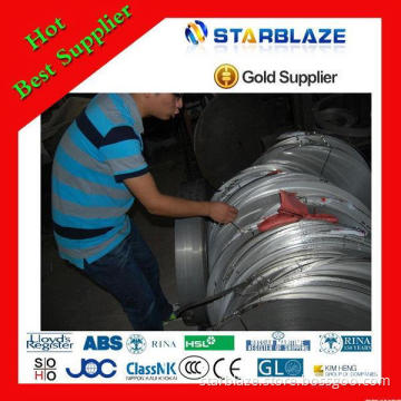 Newest hot selling 304 316 stainless steel coils